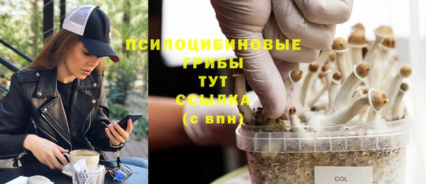 мяу мяу кристалл Магадан
