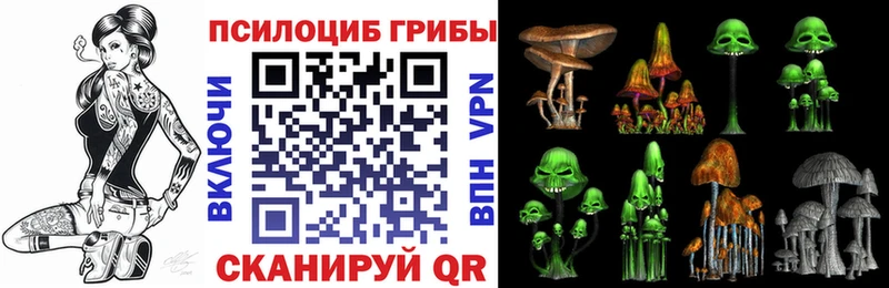 Галлюциногенные грибы Psilocybe  Нытва 